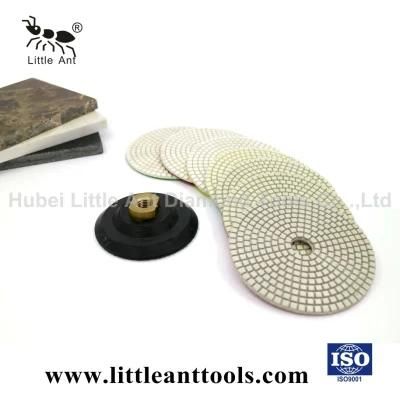 Wet Polishing Pads with High Efficiency/Diamond Tools