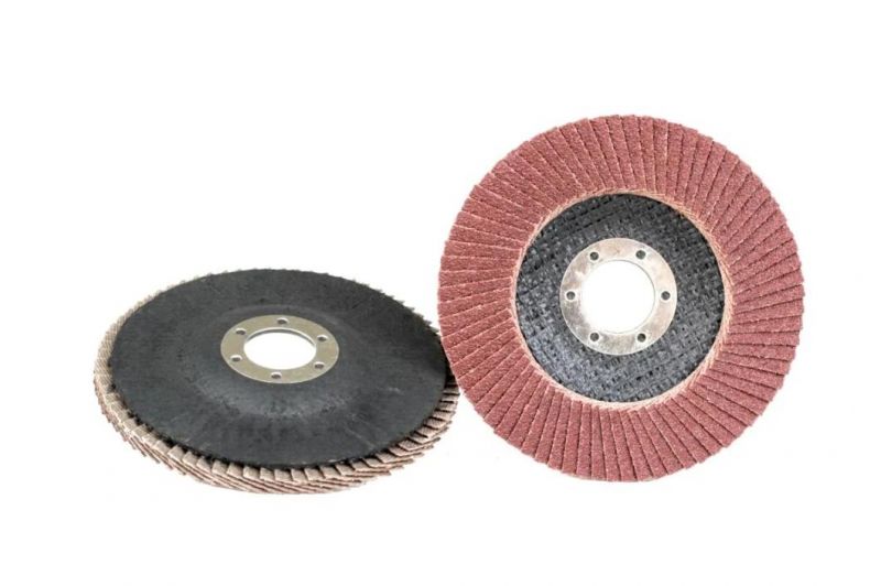 Standard Flap Disc Polishing and Grinding Disc Abrasive Disc