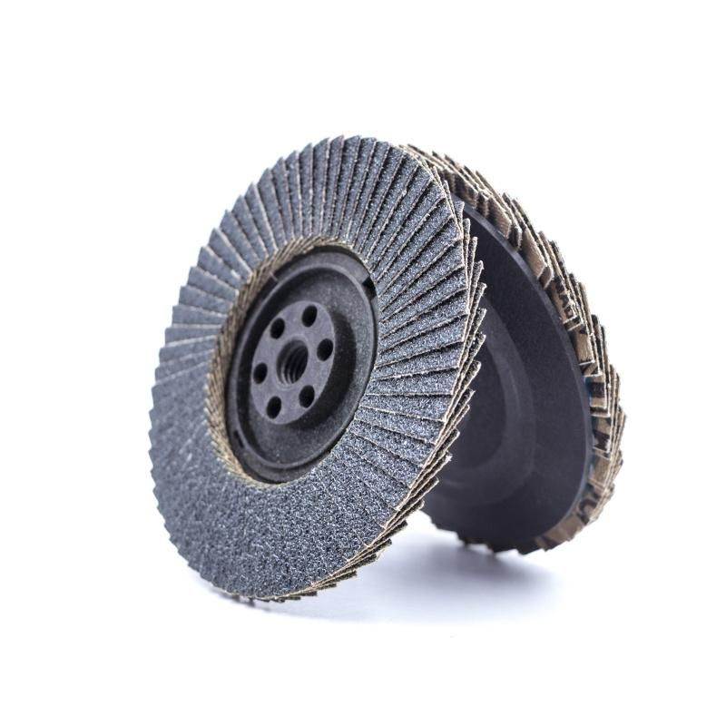 Flap Disc of Nylon Backing with M10 Thread for Japanese Market