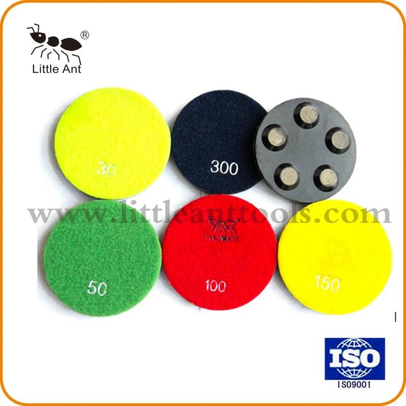 4 Inch 5 Dots Diamond Resin Metal Polishing Pads for Comcrete