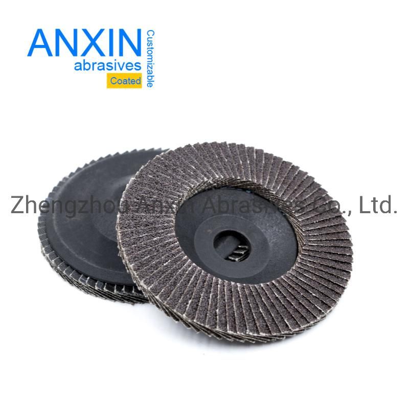 Flap Disc with Nylon Backing