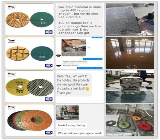 4"Helical Resin Polishing Pad for Concrete