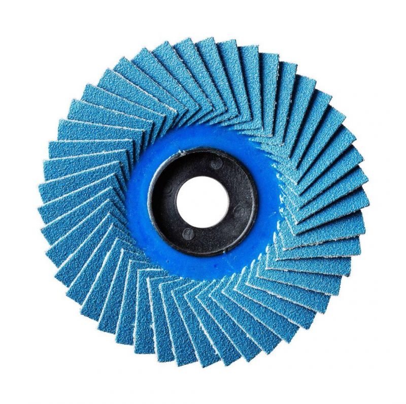 125 X 22mm Abrasive Flap Blade Disc Radial