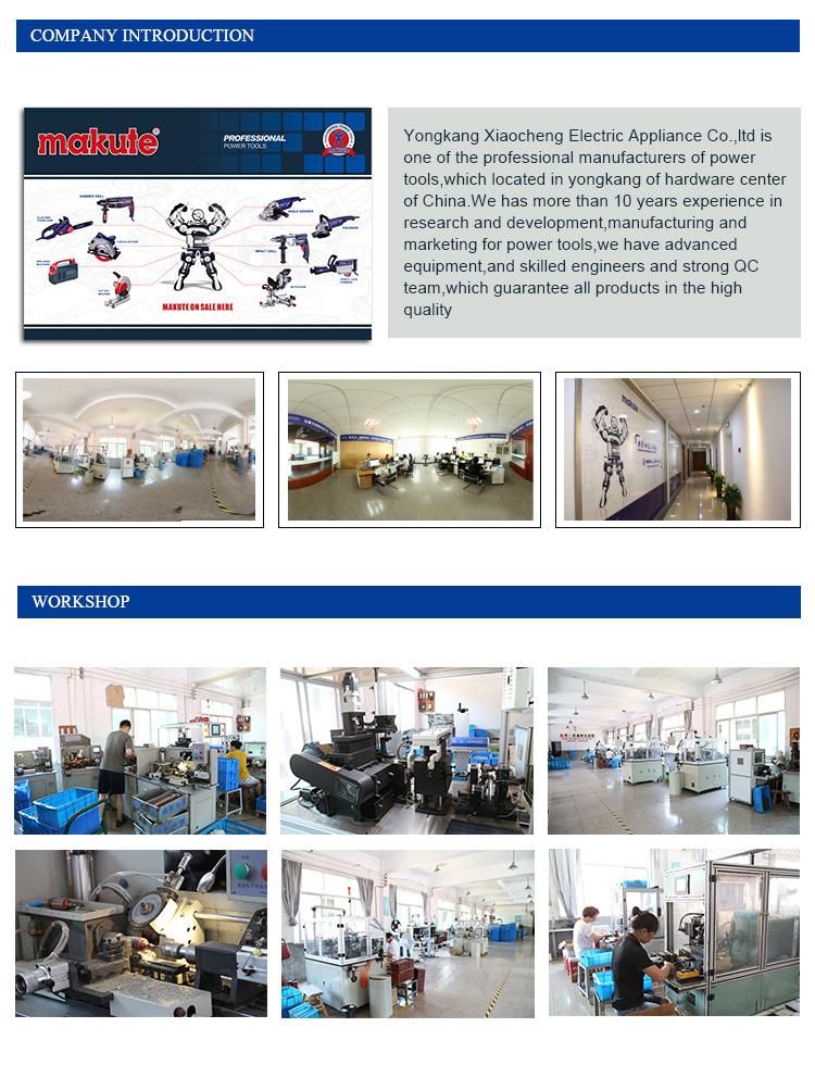 1300W Electric Car Sander Polisher Orbital Polisher