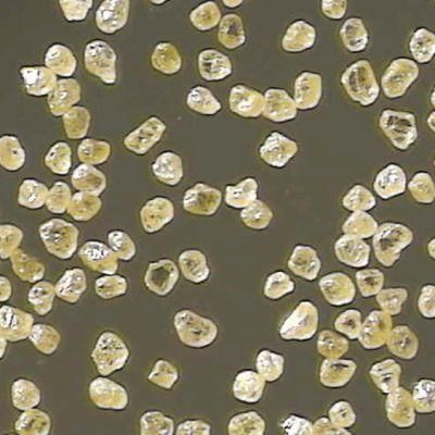 Hthp Reshaped Diamond Grit for Producing Electroplated Diamond Tools