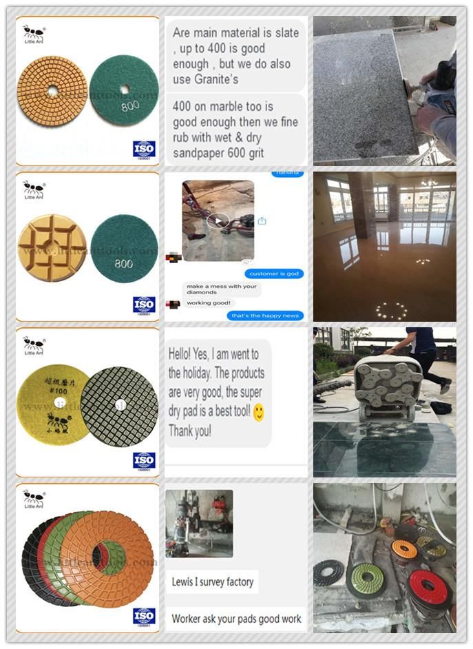 Little Ant Metal Resin Granite /Marble /Concrete Polishing Pad.