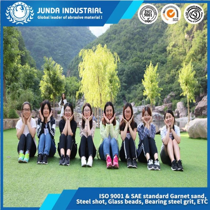 Long Life Time Bearing Steel Grit G12 for Marble Cutting Abrasives