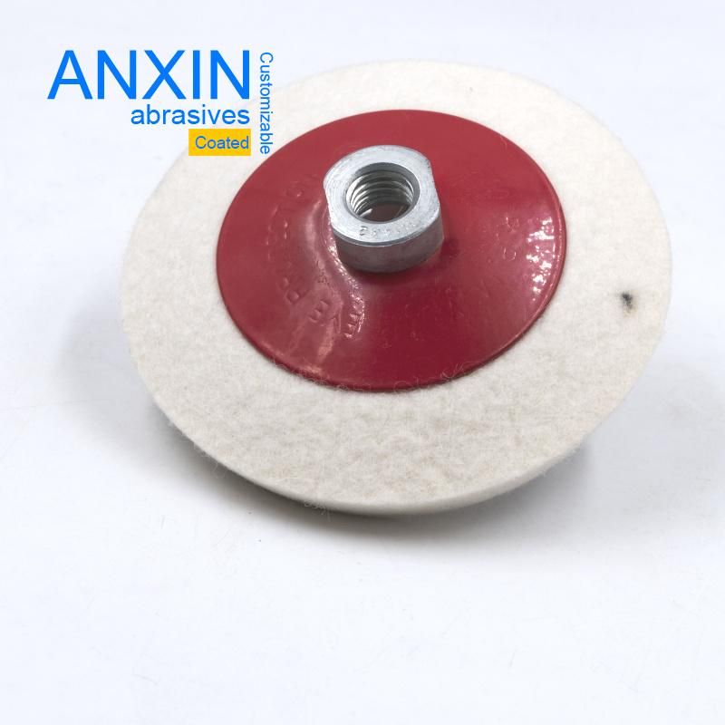Wool Felt Ring Type or Flap Type Disc for Polishing Ss Inox