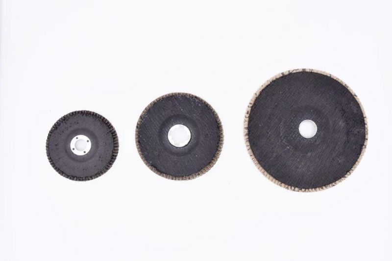 4 Inch Flap Disc Material with Aluminium Oxide for Metal