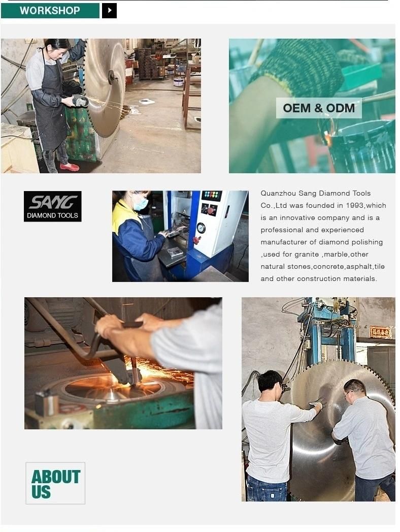 China Manufacture Diamond Profiling Wheels (SA-046)