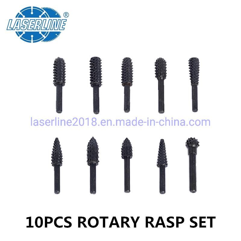 10PCS Rotary Rasp Set Polishing Set Carving Set