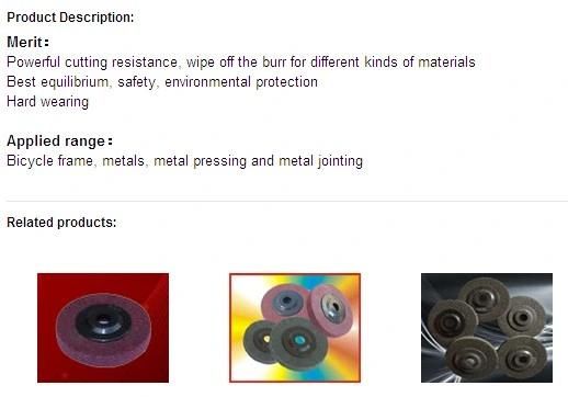 Non Woven Nylon Polishing Sanding Disc