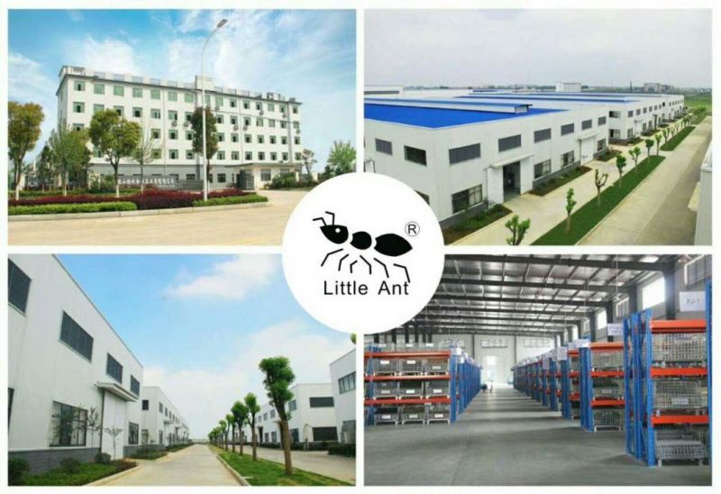 Premium Concrete Floor Metal Bond Diamond Grinding Grinding Plates