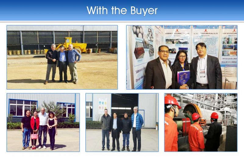 Factory Price Hot Sale Forged Steel Ball