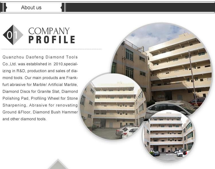 Daofeng Frankfurt Sponge Abrasives for Marble