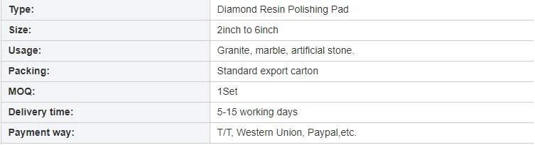 Factory Wet Resin Polishing Diamond Pad for Granite Marble 2" 3" 4" 5" 6"