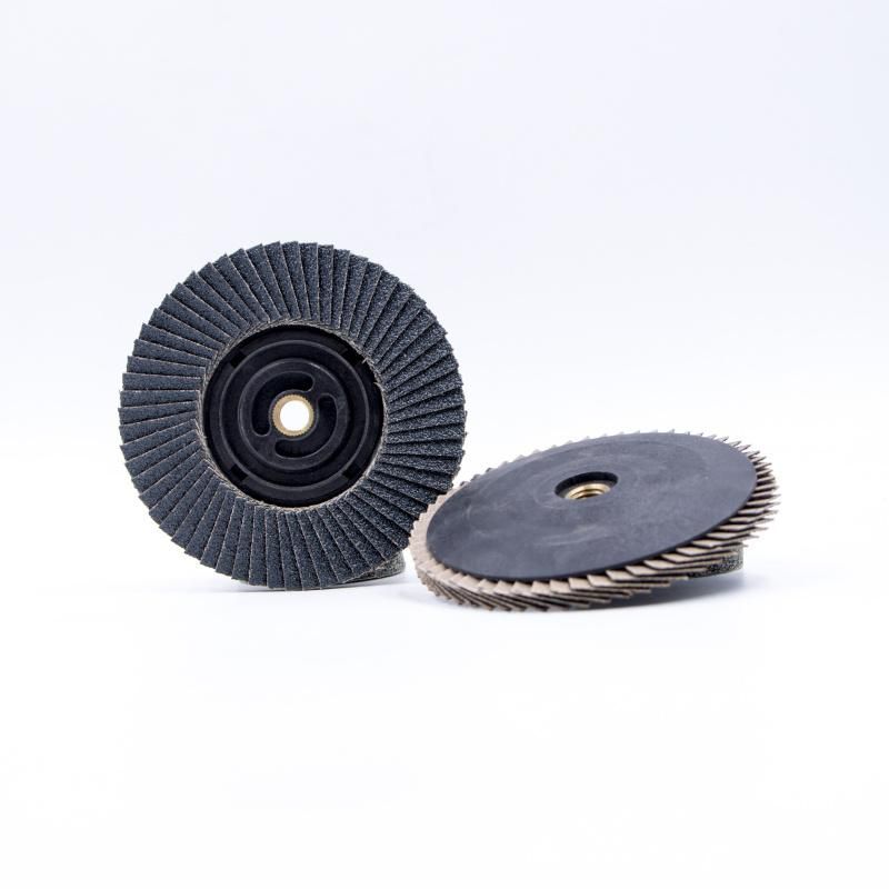 Flap Disc of Nylon Backing with Metal Thread for Japanese Market