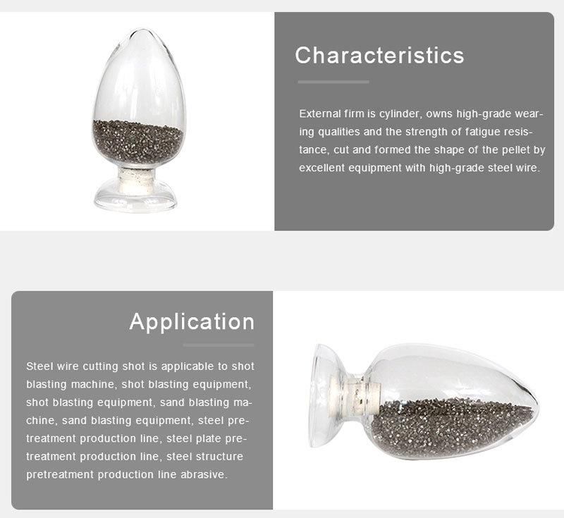 Metal Blasting Media Stainless Steel Cut Wire Shot