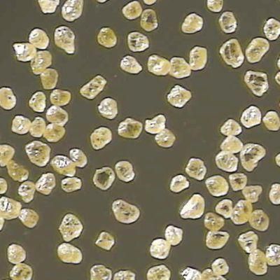 Hthp Reshaped Diamond Powder for Producing Diamond Tool