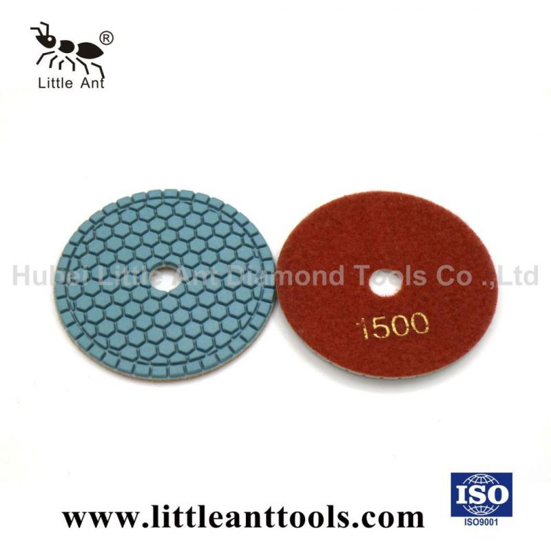 Little Ant Hex Pads 4 Inch Wet