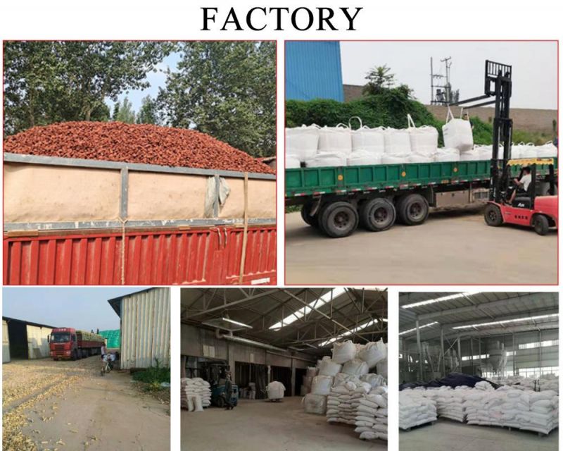 China Supply Agricultural Waste Crushed Dried Corn COB for Animal Feed