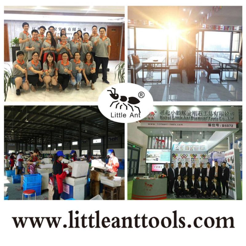 Little Ant Brand Concrete /Granite /Marble Diamond Grinding Plate