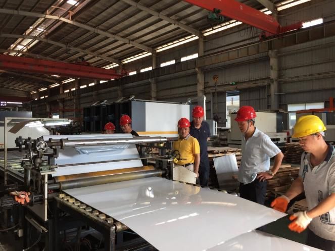 Stainless Steel Plate Grinder/ Grinding/Polishing Machine with Abrasive Belt