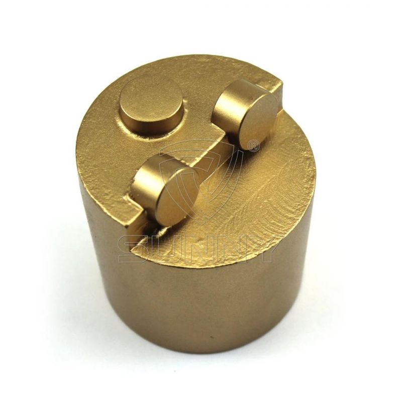 2 Inch Diamond Grinding Plug for Floorex Grinder