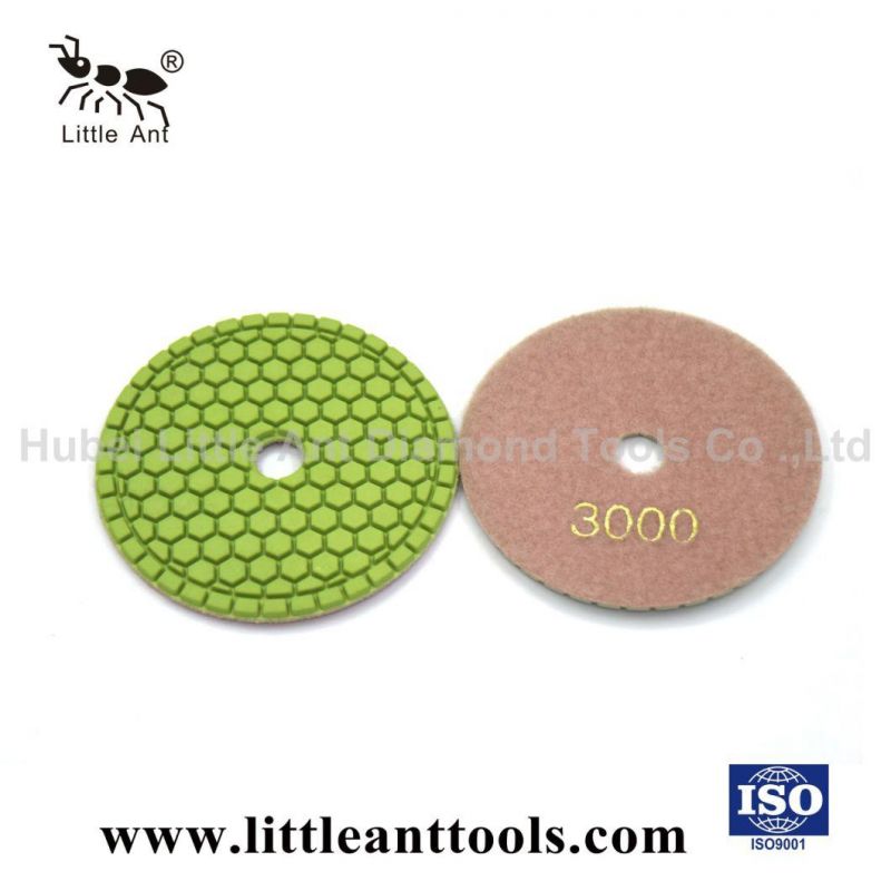 Little Ant Hex Pads 4 Inch Wet