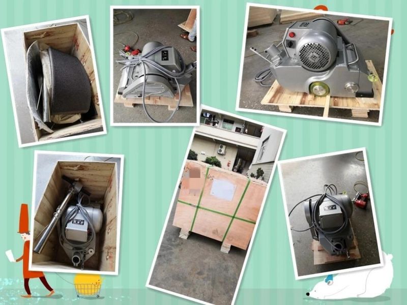 Belt Sanding Machine Drum Sander to Polish Wood Floor