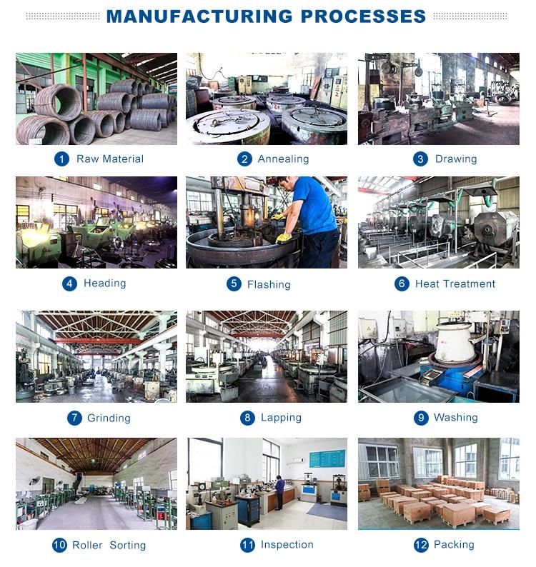 Wholesale Zinc Cut Wire Shot/High Carbon Cut Wire Shot/Conditioned Cut Wire Shot