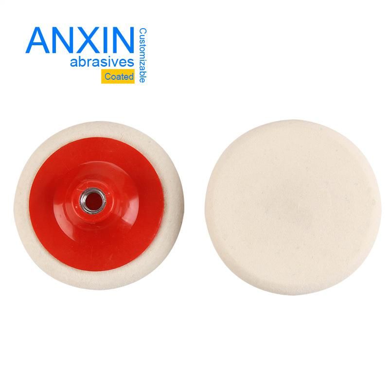 Wool Felt Ring Type or Flap Type Disc for Polishing Ss Inox