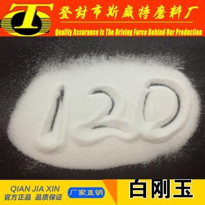 High Toughness 99.2% Aluminum Oxide White Fused Alumina F100 F120 for Cosmetic