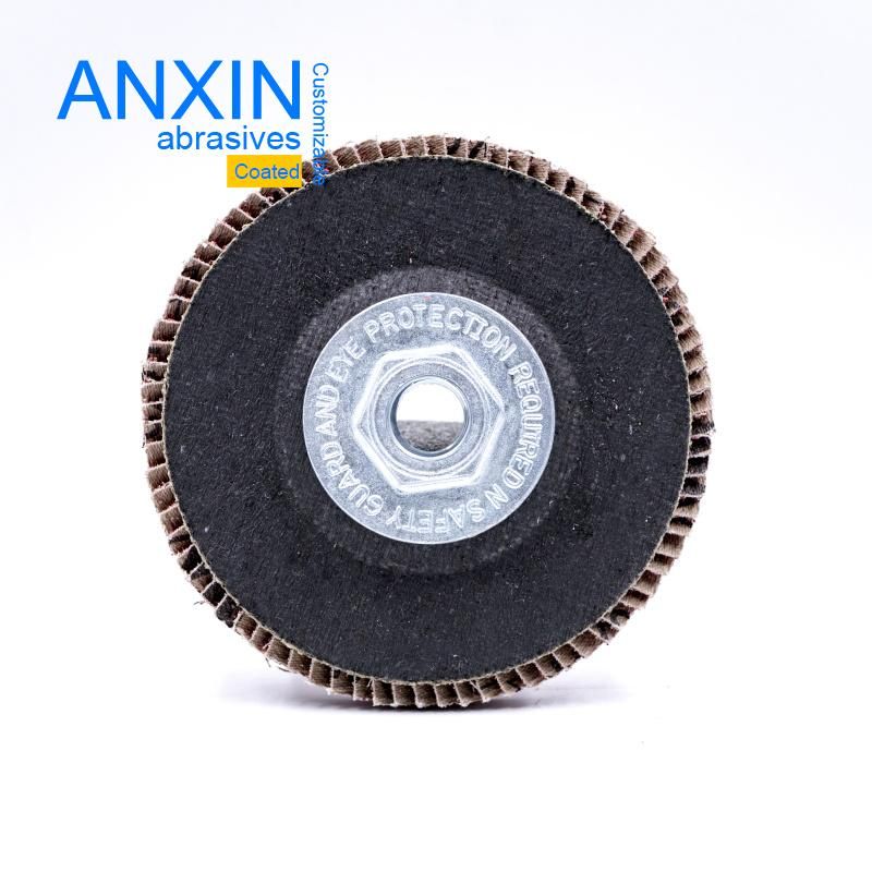 Ceramic Flap Disc with Metal Thread Hub