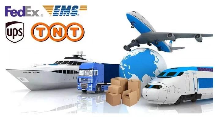 Customized Stainless Steel Shot/ Cut Wire Abrasives