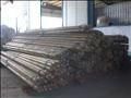 Forged Steel Round Bar/Hot Rolled Steel Bar