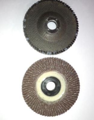 Flap Disc with Plastic Pad