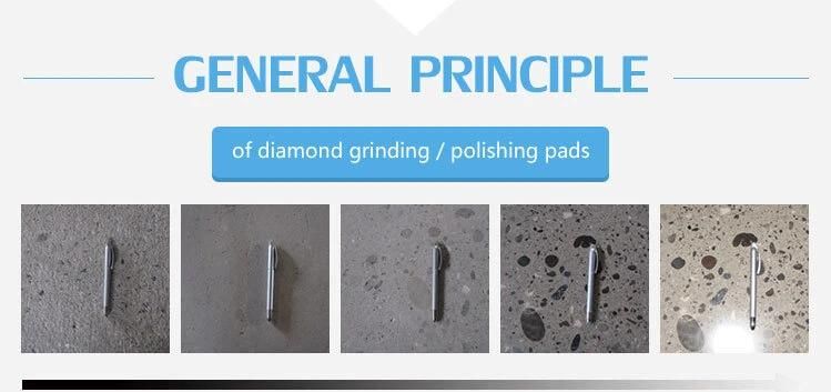 Dry Wet Concrete Floor Grinding Abrasive Tool Terrazzo Metal Bond Plate Scraper with Plug Trapezoid PCD Diamond Grinding Head Pad Segment