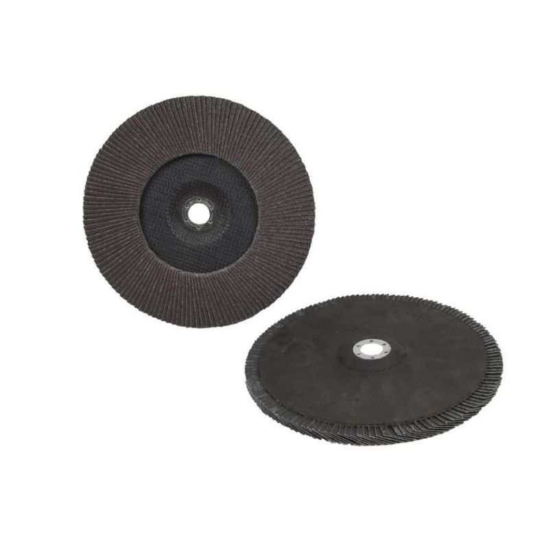 250mm*25mm Flap Disc for Polishing and Grinding