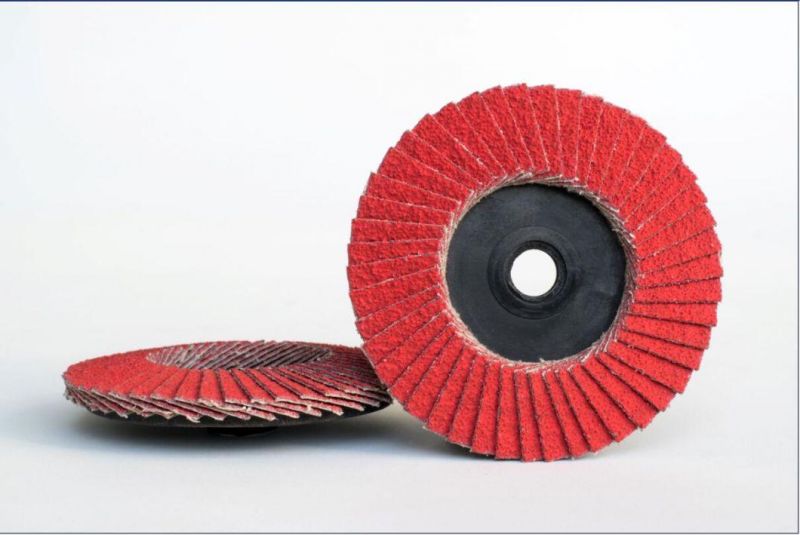 Mini Flap Disc Type R with Vsm Zirconia Cloth Polishing Pad Disc