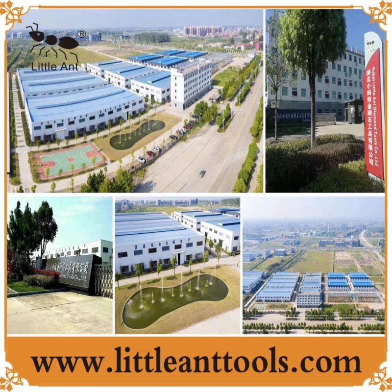 200mm-300mm for Marble, Granite, Floor Diamond Polishing Pad