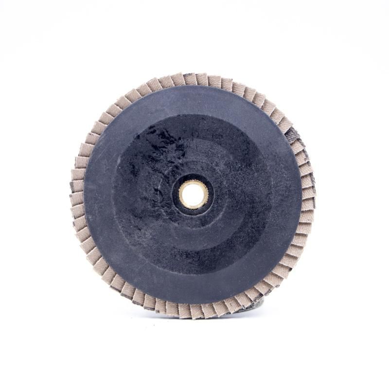 Flap Disc with Metal Wire Nylon Backing for Japan Market