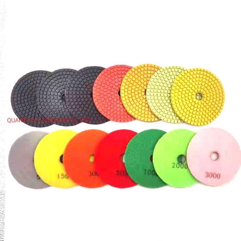 Dry/Wet Polishing Pad