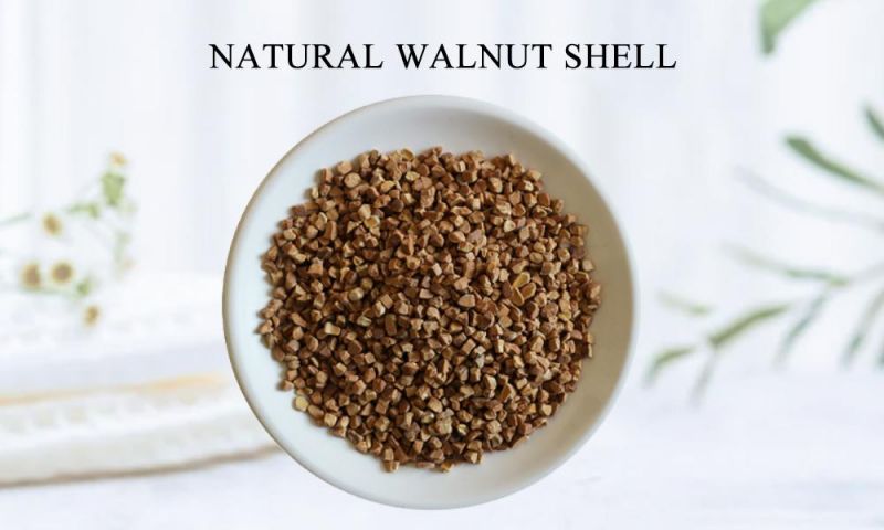 Factory Sell Walnut Shell Sandblasting Media in China