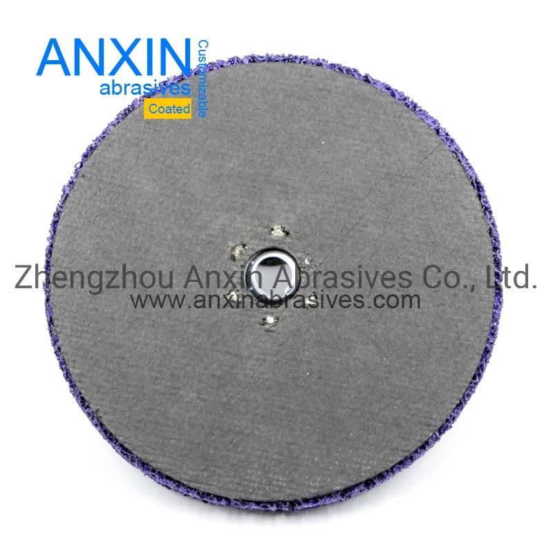 Clean& Strip It Disc with Metal Screw