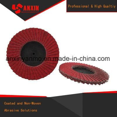 50mm R Type Mini Flap Disc Polishing Stainless Steel