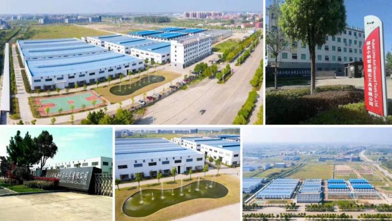 China Diamond Tools Factory High Quality Polishing Pad for Europe Market