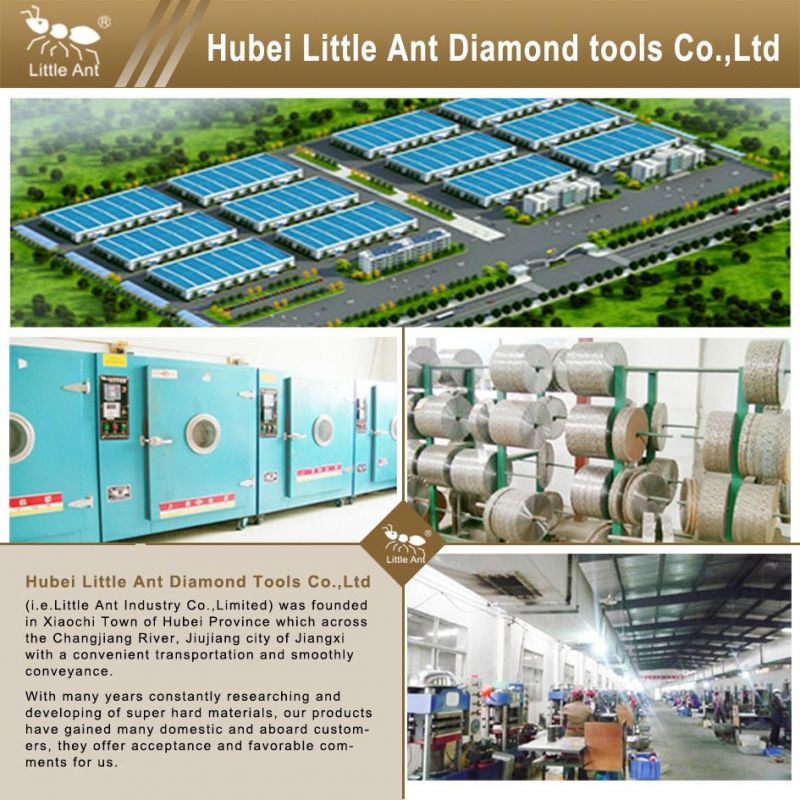 China Famous Brand Granite, Marble Floor Abrasive Tool, Diamond Polishing Pad
