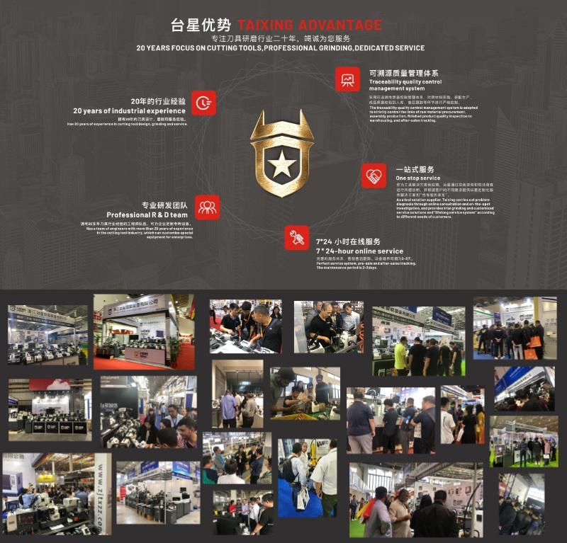 Txzz Latest High-End CNC Metal Saw Blade Sharpener Tx-Q5
