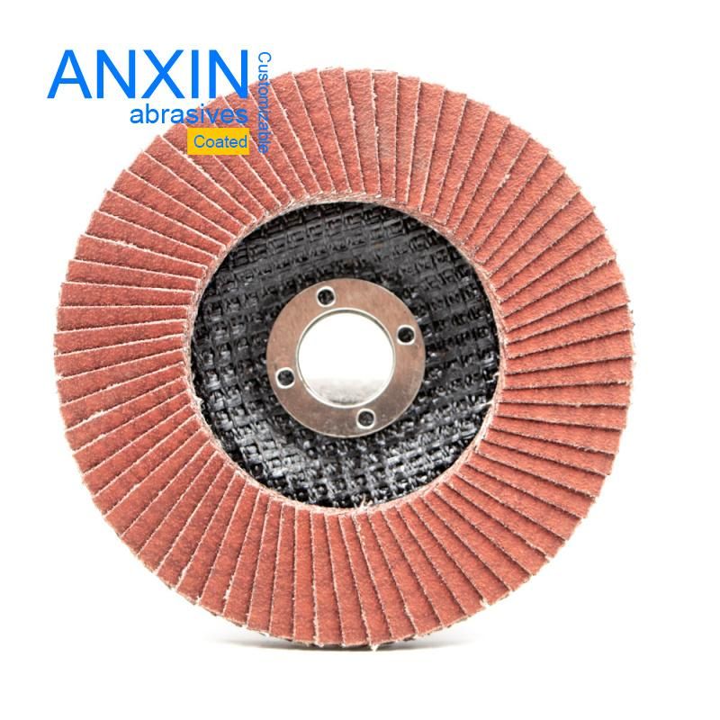 Cutting and Grinding Flap Disc with Ceramic